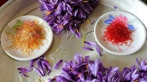 قیمت زعفران رشته ای قائنات با کیفیت ارزان + خرید عمده